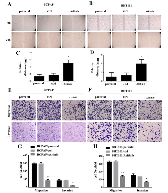PMC10506260 – Fig7
