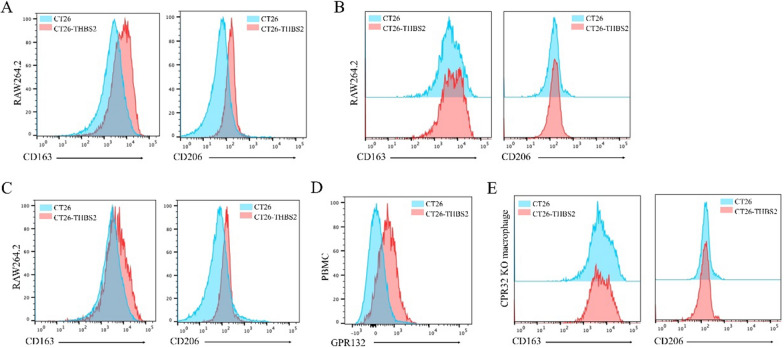 PMC10604812 – Fig10