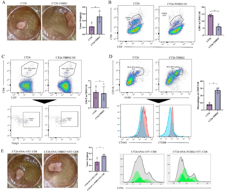 PMC10604812 – Fig12