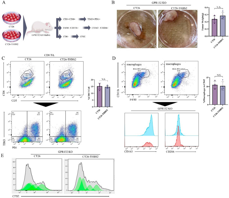 PMC10604812 – Fig13