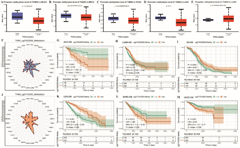PMC10604812 – Fig5