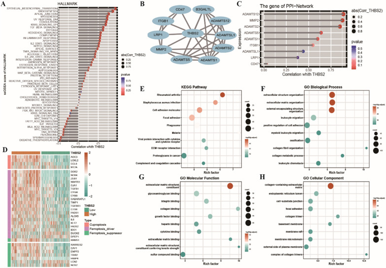PMC10604812 – Fig6