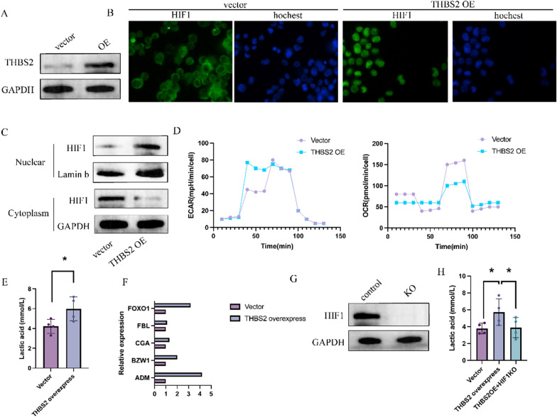 PMC10604812 – Fig9