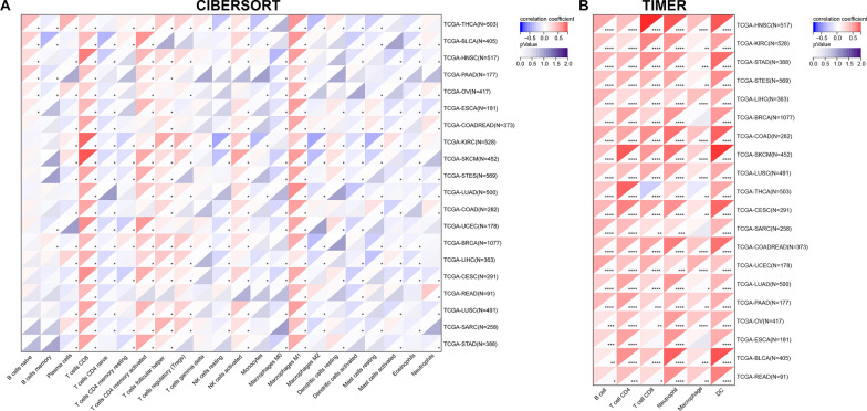PMC10693146 – Fig10