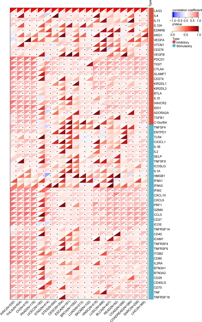 PMC10693146 – Fig11