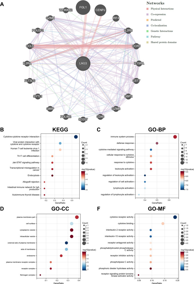 PMC10693146 – Fig12