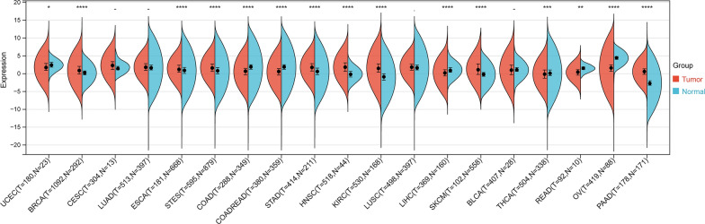 PMC10693146 – Fig6