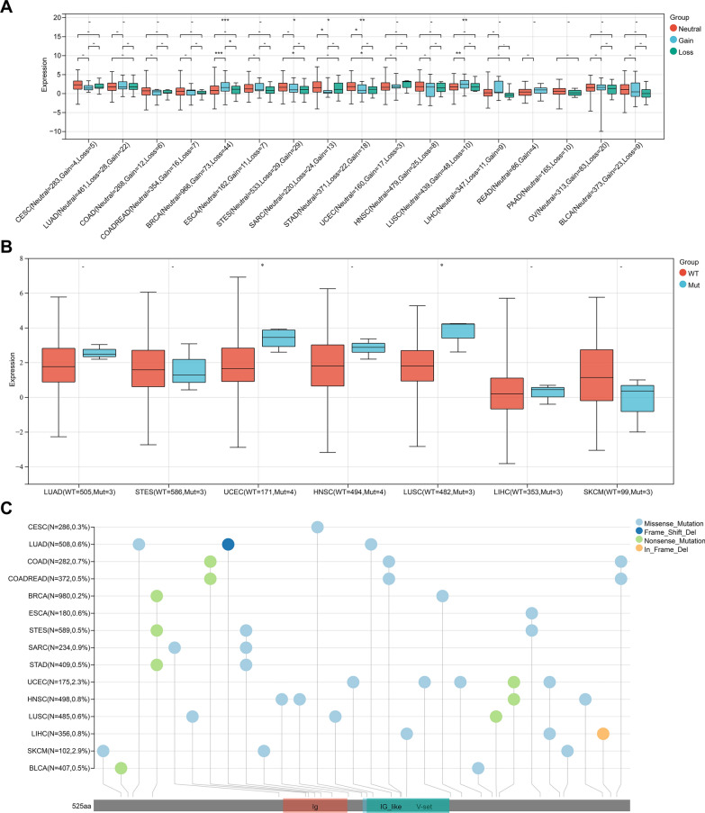 PMC10693146 – Fig7
