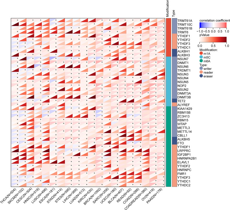 PMC10693146 – Fig8