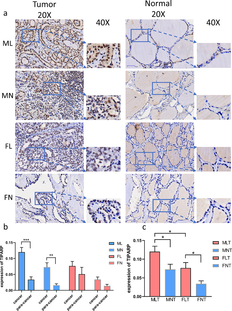 PMC10795290 – Fig4