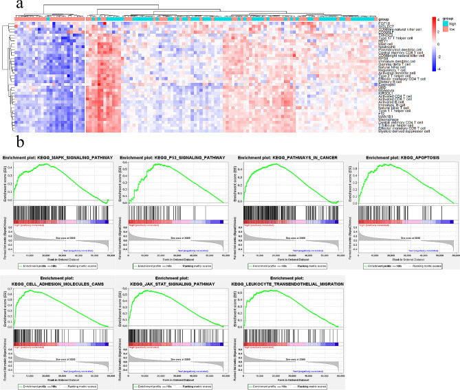 PMC10795290 – Fig5
