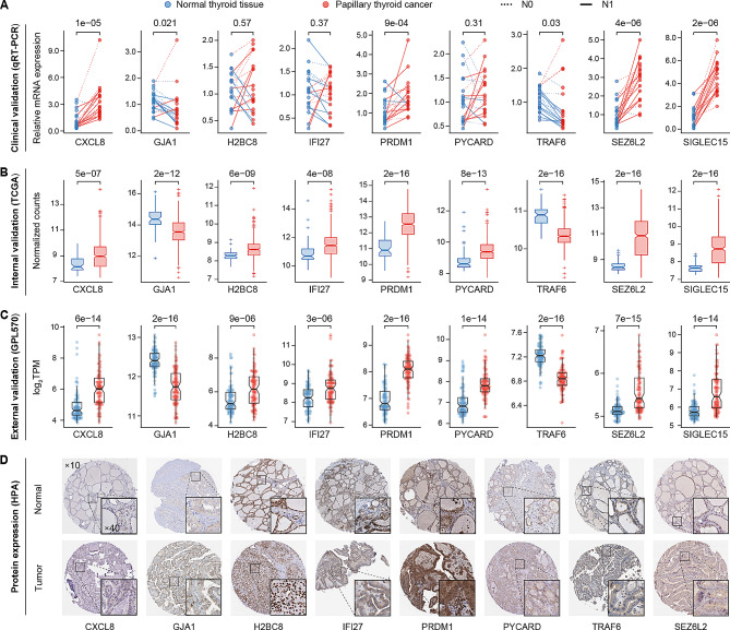 PMC10823616 – Fig7