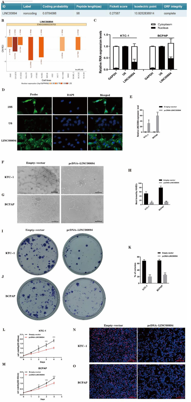 PMC10826051 – Fig2