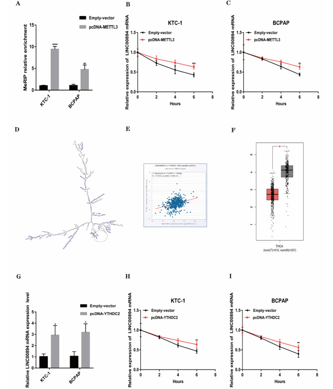 PMC10826051 – Fig4