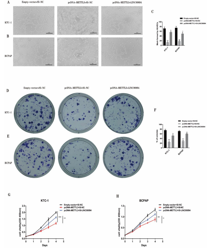 PMC10826051 – Fig5