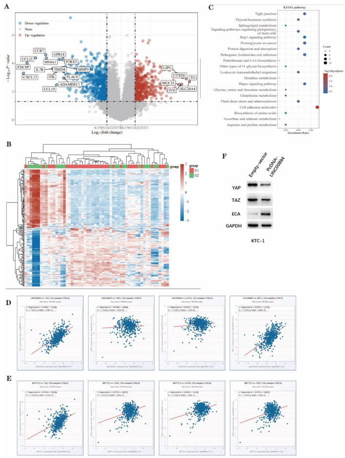 PMC10826051 – Fig6