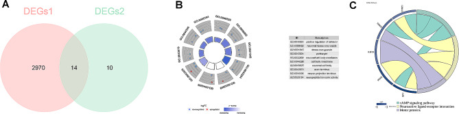 PMC11055338 – Fig3