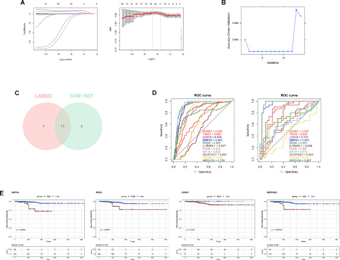 PMC11055338 – Fig4