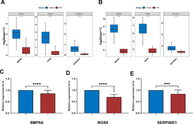 PMC11055338 – Fig8