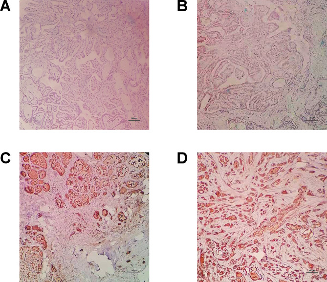 PMC11055338 – Fig9