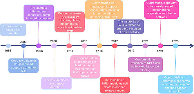 PMC11661134 – Fig1