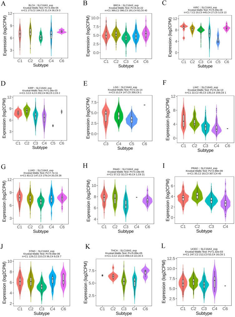 PMC12039109 – Fig10