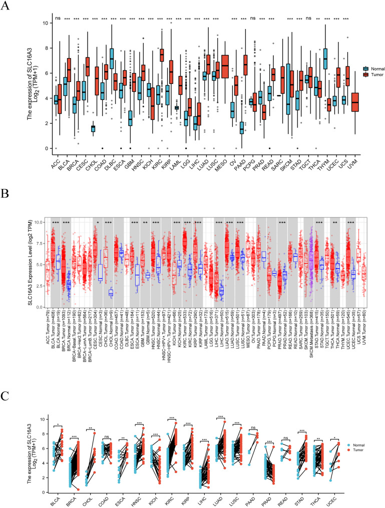 PMC12039109 – Fig1