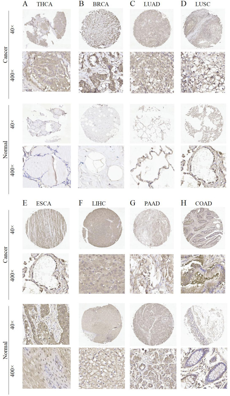 PMC12039109 – Fig2