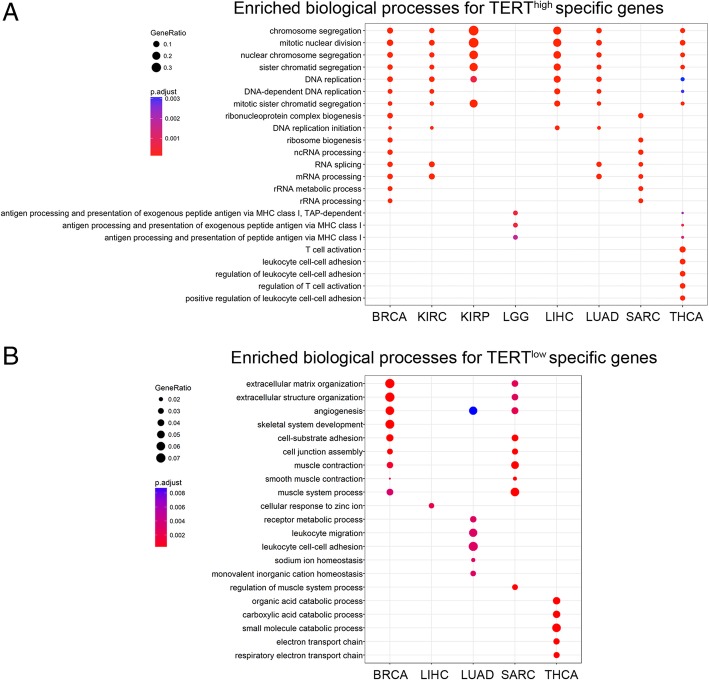 PMC6556968 – Fig2
