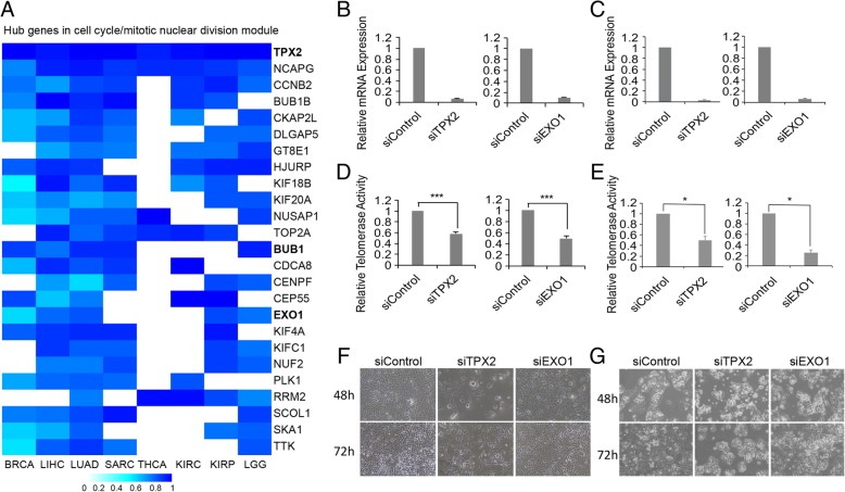 PMC6556968 – Fig3