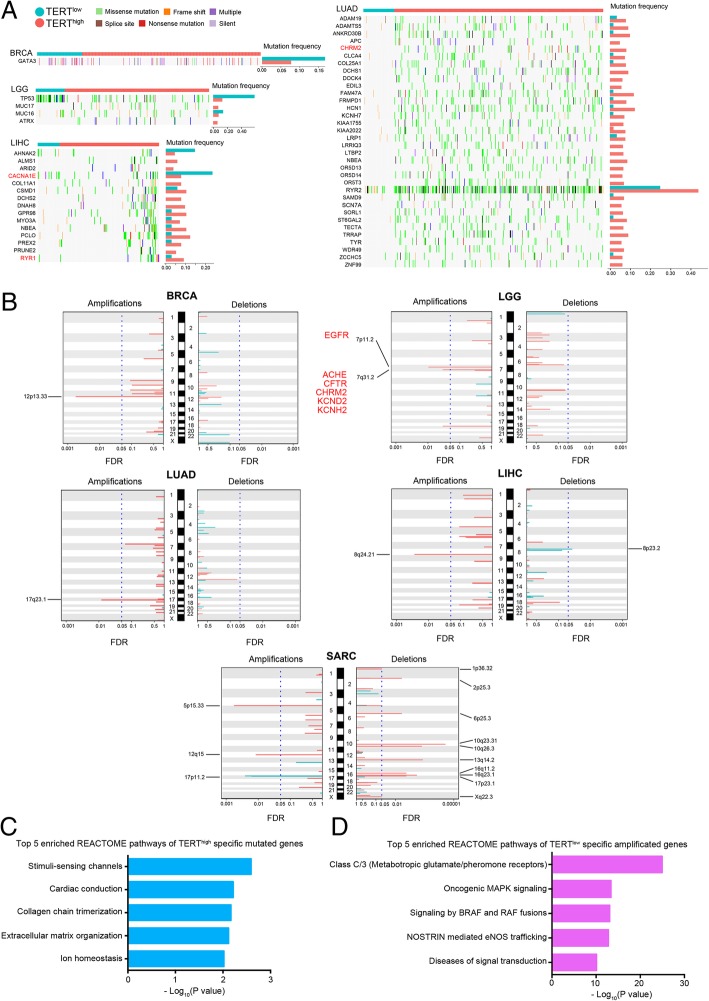 PMC6556968 – Fig5