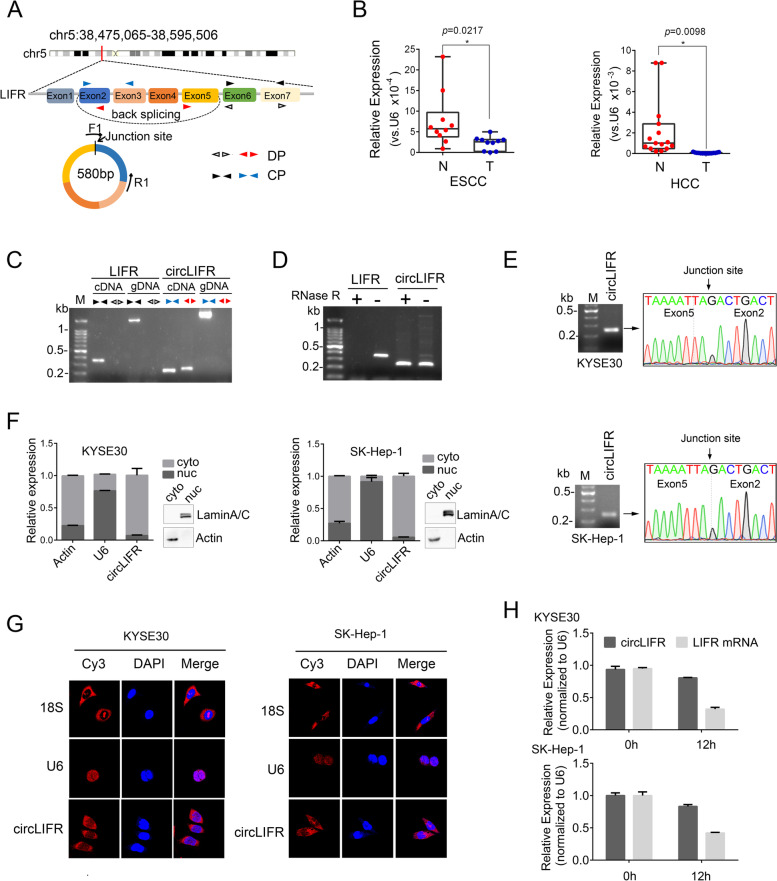 PMC8889743 – Fig4
