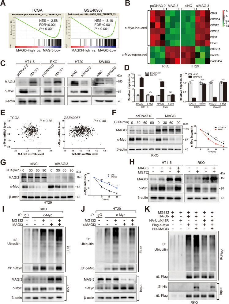 PMC9306183 – Fig3