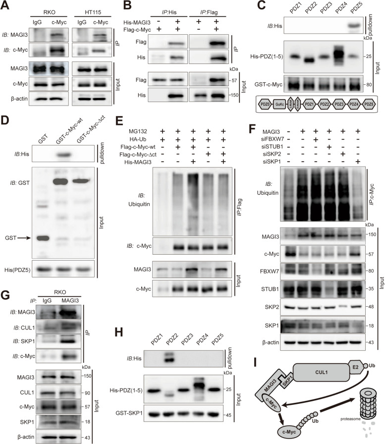 PMC9306183 – Fig4