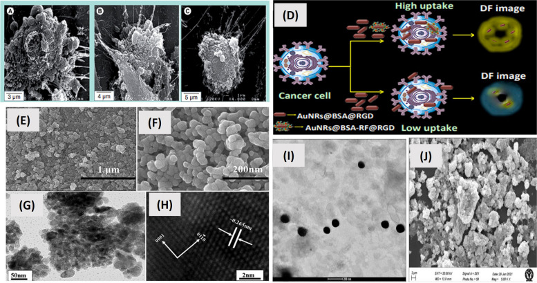 PMC10559482 – Fig10