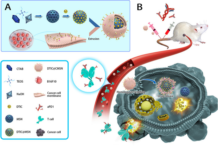 PMC10559482 – Fig11