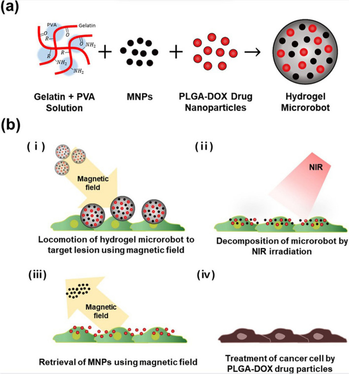 PMC10559482 – Fig12