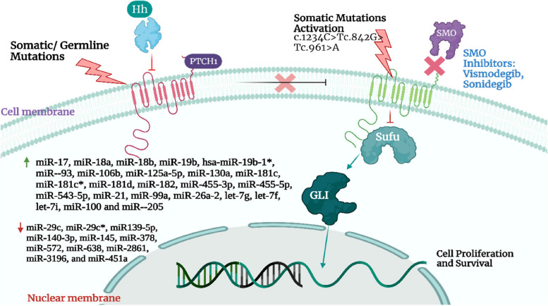 PMC10559482 – Fig1