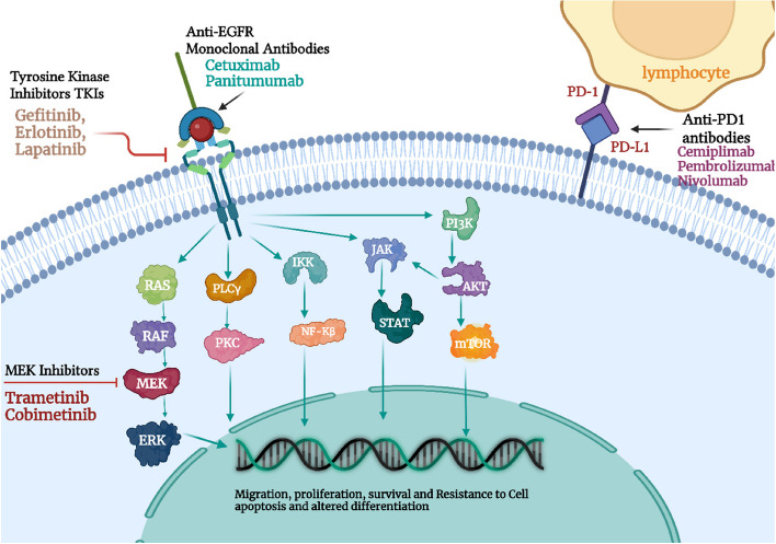 PMC10559482 – Fig2