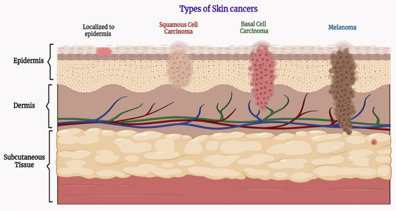 PMC10559482 – Fig3