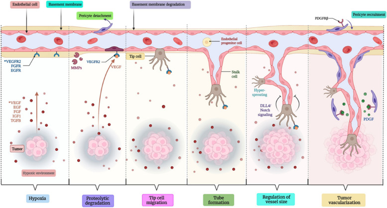 PMC10559482 – Fig4