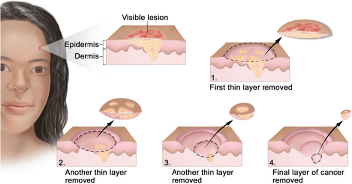 PMC10559482 – Fig5