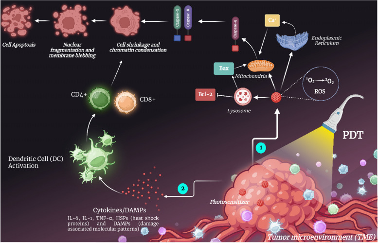PMC10559482 – Fig6