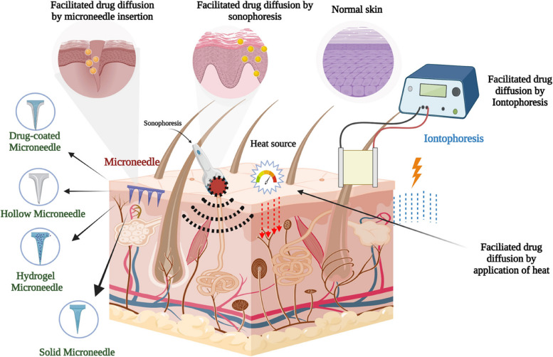 PMC10559482 – Fig9