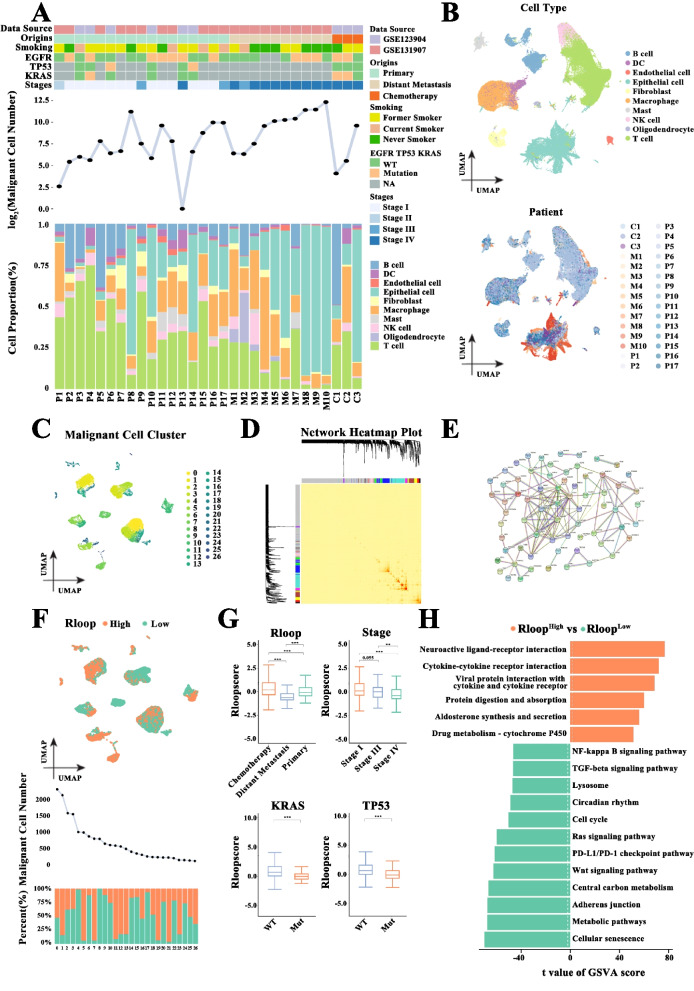 PMC10777569 – Fig1