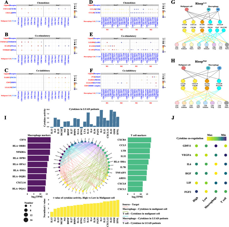 PMC10777569 – Fig3