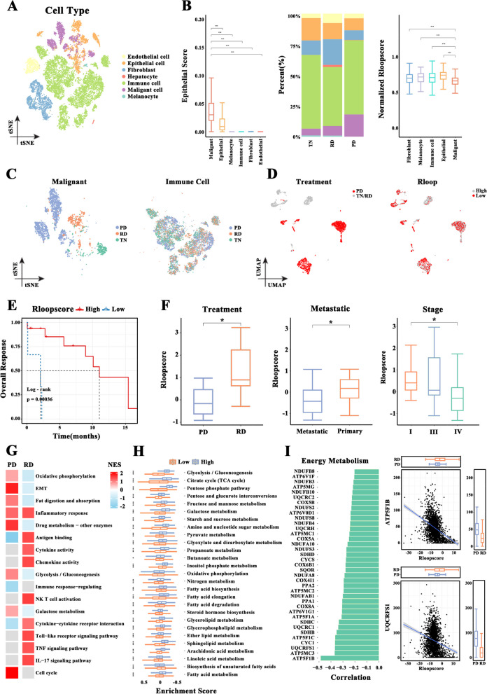 PMC10777569 – Fig4