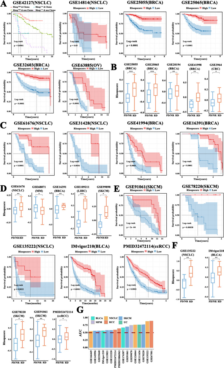 PMC10777569 – Fig6