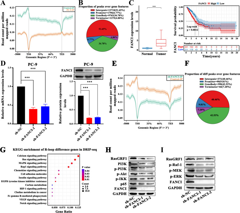 PMC10777569 – Fig7