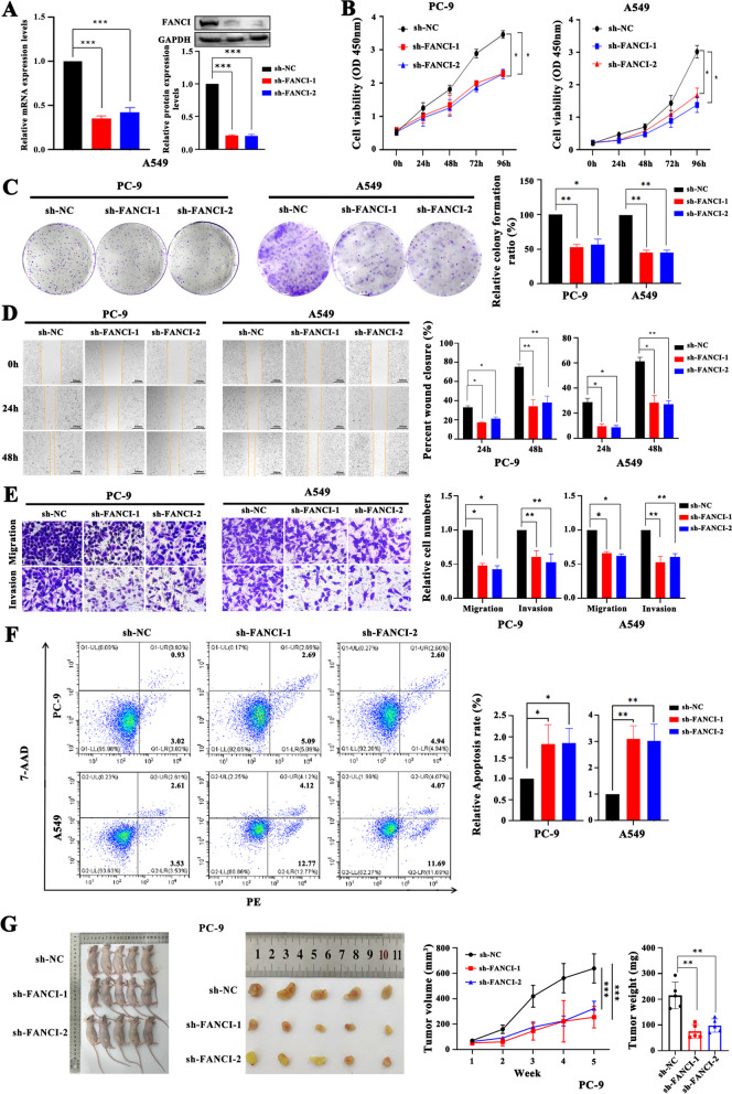 PMC10777569 – Fig8